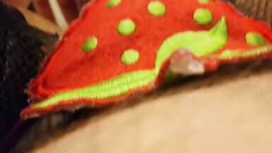 Sissy CD playing with bubble butt - 13 image