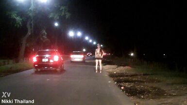 Nikki Ladyboys REAL Public Nudity - 3 image