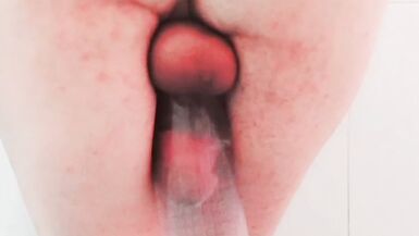 Provocative Playtime: Unleashing the Wild Side - 8 image