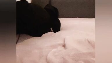 Inexperienced Boy cum - 11 image