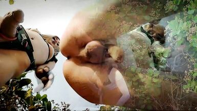 Sissy TRAINS OUTDOORS WITH A HUGE STRAPON - 3 image