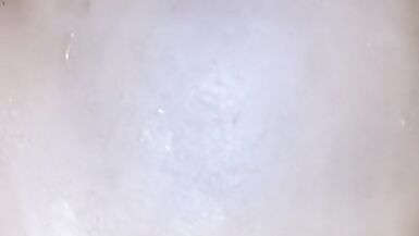 Sextoy anal fuck fest - 10 image