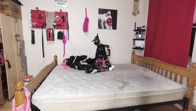 Sissy Maid Escapes Self Bondage Early - 11 image