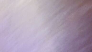 Big Dick Bitch Fishnet stockings and heels Solo - 5 image