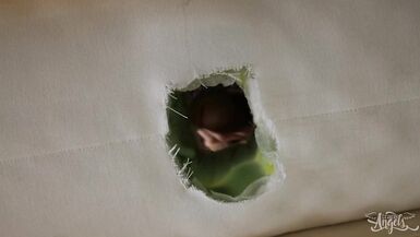 TRANS ANGELS - Izzy Wilde Bounces Her Tight Hole On Zariah Aura's Hard Cock In Cowgirl - 3 image