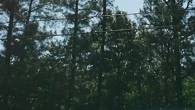 Outside in pantyhose leotard miniskirt neighborhood walk.