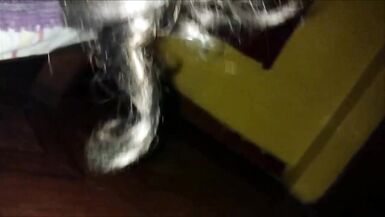 latin trangender sex with peruvian male - 11 image