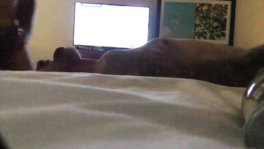 DeadEye fucks hot Tgirl Camero - 3 image