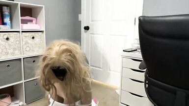 Hot Trans CD Huge Cock in Yoga Ball Sexy Lingerie - 14 image