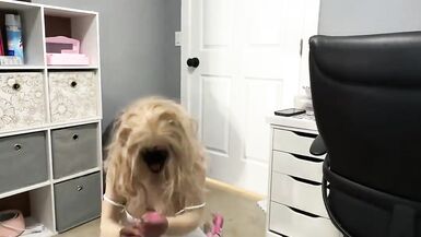 Hot Trans CD Huge Cock in Yoga Ball Sexy Lingerie - 15 image