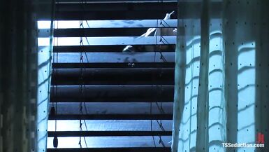 Sean Revel and Sexy Jade - 3 image