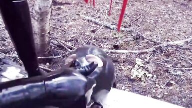 Hot Latex Mistress Tests Her Slut For Strength. Arya Grander - 13 image