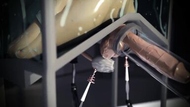 Shishiro, Power Girl and Wonder Woman