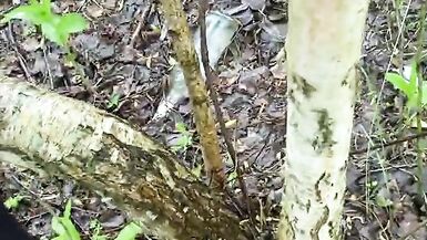 Publicly, in the summer forest, on the face - 5 image