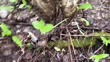 Publicly, in the summer forest, on the face - 6 image