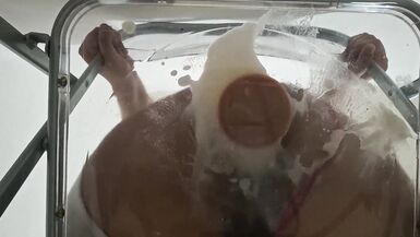 Young Gwen Tennyson's First Anal with Creampie through Cleared Chair - Voluptuous Body in Sexy Lingerie - 11 image