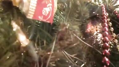 Early Christmas Fuckfest HO HO HO - 11 image