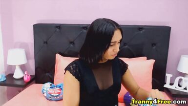 Wild Babe Transsexual Getting Sexy - 6 image