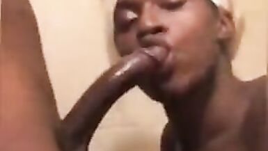 TS Handles Lengthy Knob