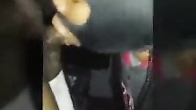 TS Handles Lengthy Knob - 3 image