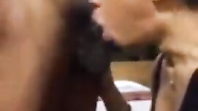 TS Handles Lengthy Knob - 8 image