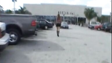 Clean Lady-Man is Priceless Sheboy - 1 image