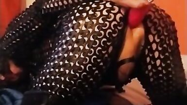 Everyone craves to Brea Cat! - 3 image