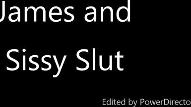 Camp Sissy Sex Swing - 1 image