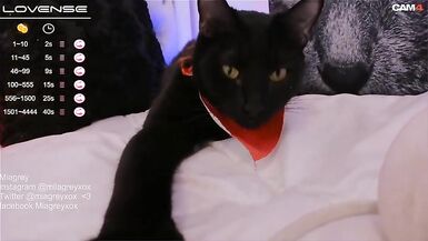 La más deseada - 10 image