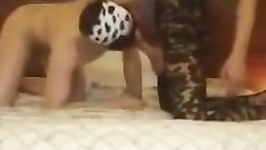 Ebon Shelady - 1 image