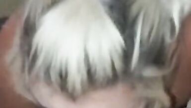 Tgirl Sucks Soft Weenie Lile a Queen superlatively good Head ever - 15 image