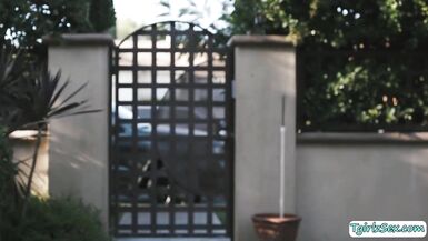 Ts Kayleigh enjoys engulfing afro ramrod - 3 image