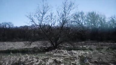 TV Futanari - 4 image