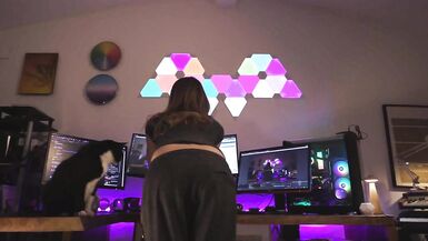 Ebony Cat Show - 1 image