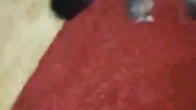 Sexychantal in Partylaune. Vodka, Poppers und ......:) - 8 image