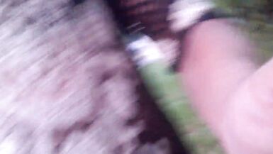 public sheboy - 11 image