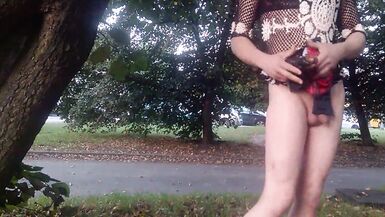 public sheboy - 14 image