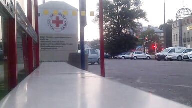 public sheboy - 3 image