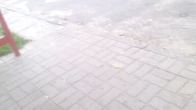 public sheboy - 8 image