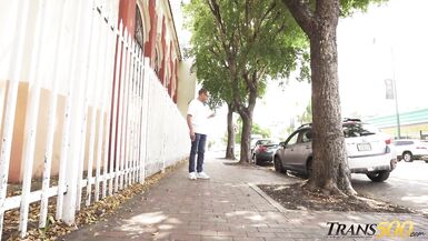 Trans500 Sofia Bun Finding Sofia - 1 image