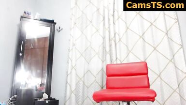 That Babe cums all over the closet TS Web Camera Doxy - 14 image