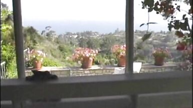 Trans Hotty Queens in Underware - 1 image