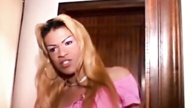 Italian Sheboys in Hardcore Fuck Vids - 10 image