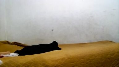 Joselynne Cd My 1St Deepthroat - 9 image