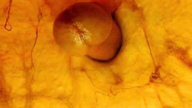 Magical Transgender Witch Beauty Puts her Wand in a Pumpkin - Halloween Specific