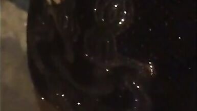 Solo shemales being gorgeous and masturbating their schlongs Comp - 2 image