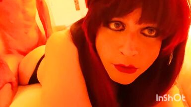 Tory Kitty Sucks and Acquires ButtFucked - 11 image