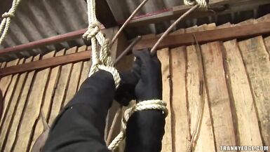 Bianca Armani Tgirl - 11 image