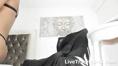 zebrunette 1shemale livecam - 13 image