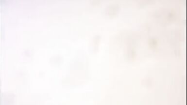 Compilation of street trans hookers pleasant fag clients - 12 image